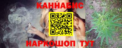 индика Моздок