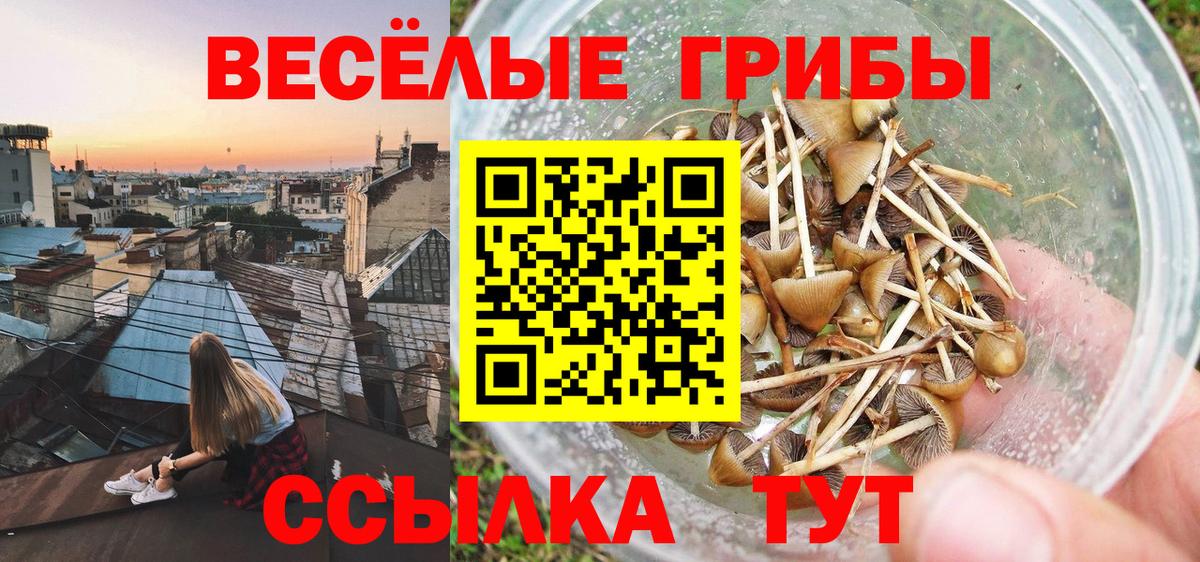 Псилоцибиновые грибы Magic Shrooms Чебаркуль