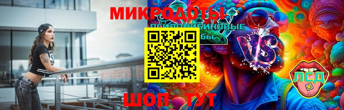 Чебаркуль  Галлюциногенные грибы Psilocybine cubensis  Вход с VPN 